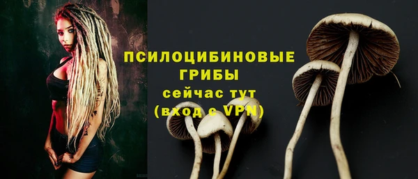 первитин Няндома