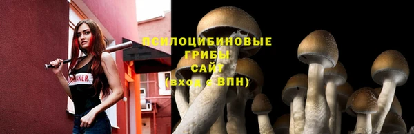 первитин Няндома
