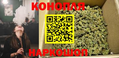 дживик Будённовск