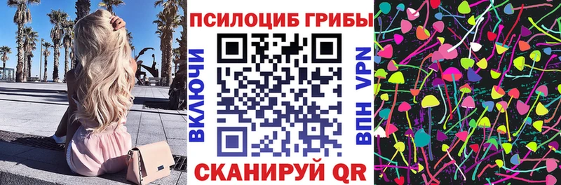 Псилоцибиновые грибы Psilocybine cubensis  MEGA рабочий сайт  Новоалександровск 
