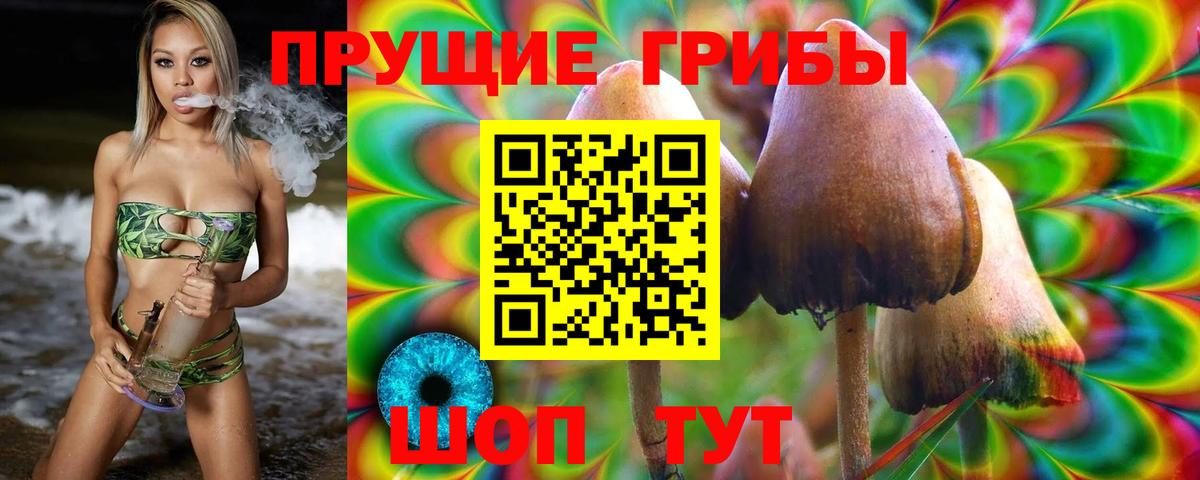 Бошки Шишки  МЕТАМФЕТАМИН  COCAIN  NBOMe  Метадон  Гашиш  Новоалександровск  COCAIN  Меф МЯУ МЯУ кристаллы  Альфа ПВП СК кристаллы 