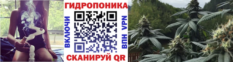 где можно купить наркотик  мега tor  МАРИХУАНА Amnesia  Новоалександровск 